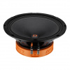 DL Audio Raven 200